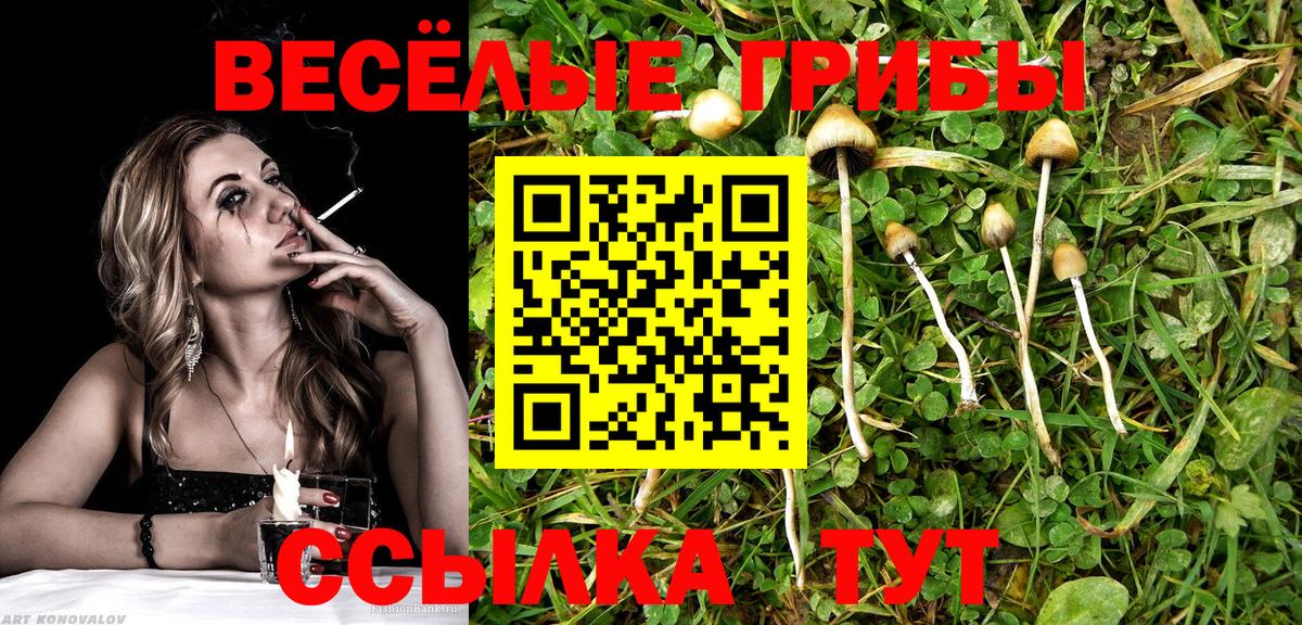 Псилоцибиновые грибы прущие грибы Петрозаводск