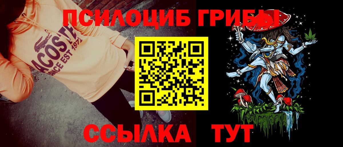 Галлюциногенные грибы MAGIC MUSHROOMS  наркотики  Вход с VPN  Петрозаводск  Галлюциногенные грибы Psilocybe 